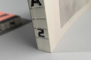 Apophenia 2